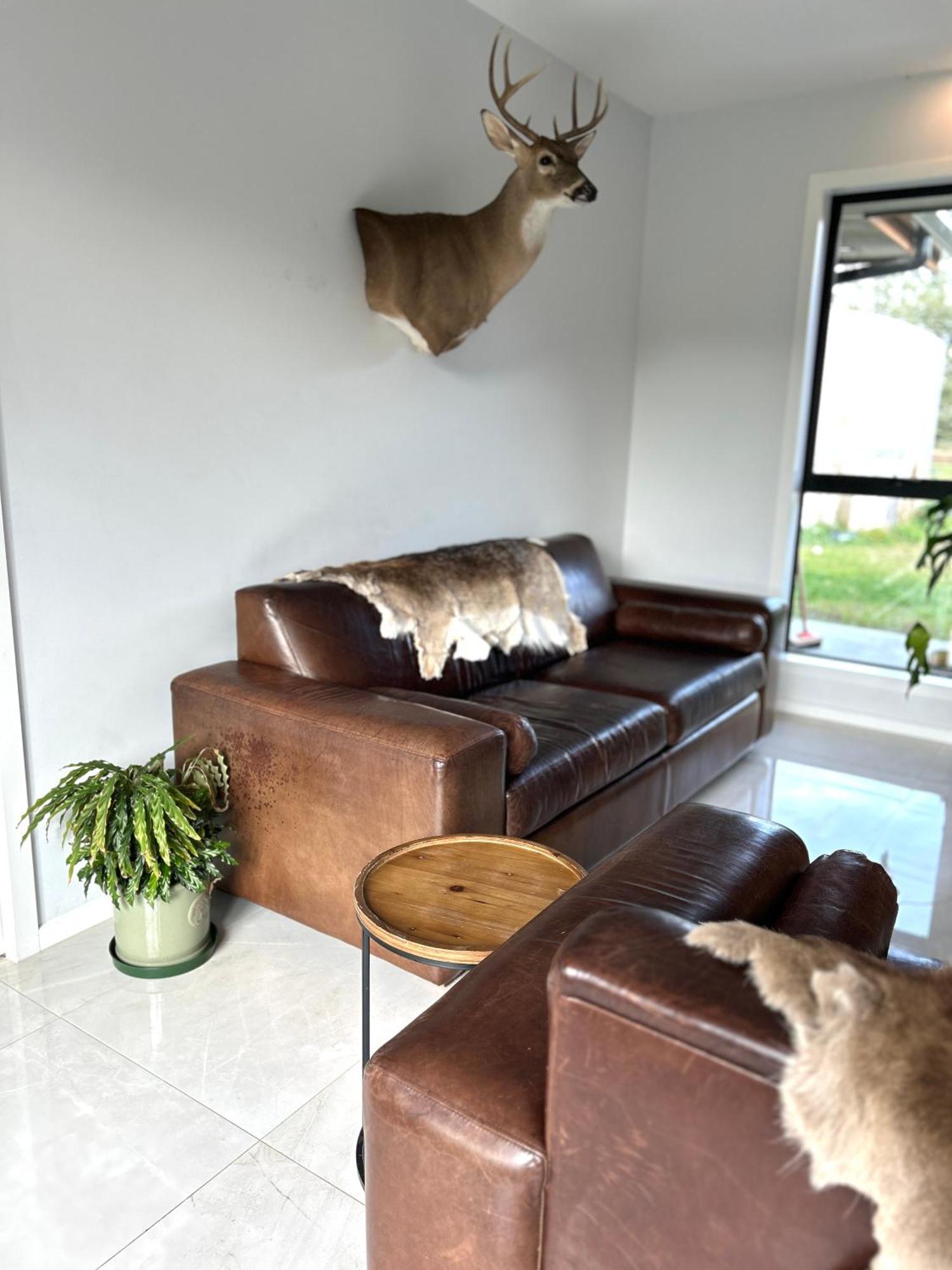 Tarras Serenity Haven - Mountain Views And Calm Bagian luar foto