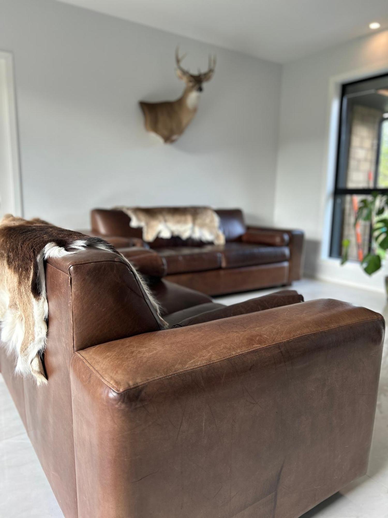 Tarras Serenity Haven - Mountain Views And Calm Bagian luar foto